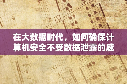在大数据时代，如何确保计算机安全不受数据泄露的威胁？