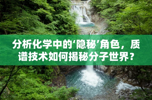 分析化学中的‘隐秘’角色，质谱技术如何揭秘分子世界？