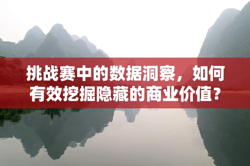 挑战赛中的数据洞察，如何有效挖掘隐藏的商业价值？