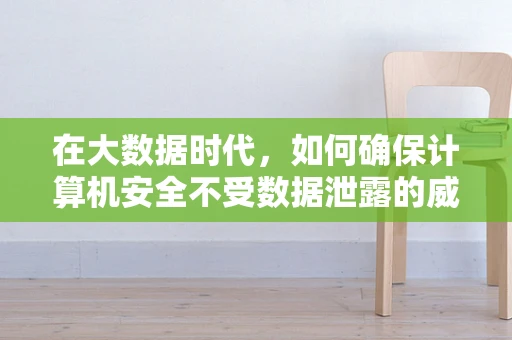 在大数据时代，如何确保计算机安全不受数据泄露的威胁？