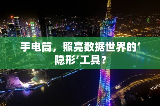 手电筒，照亮数据世界的‘隐形’工具？