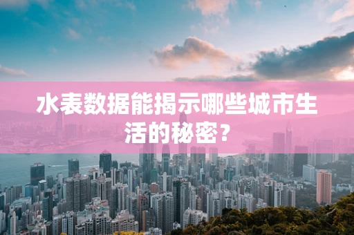 水表数据能揭示哪些城市生活的秘密？