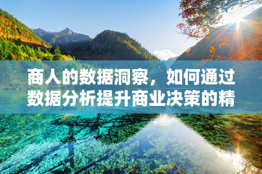 商人的数据洞察，如何通过数据分析提升商业决策的精准度？