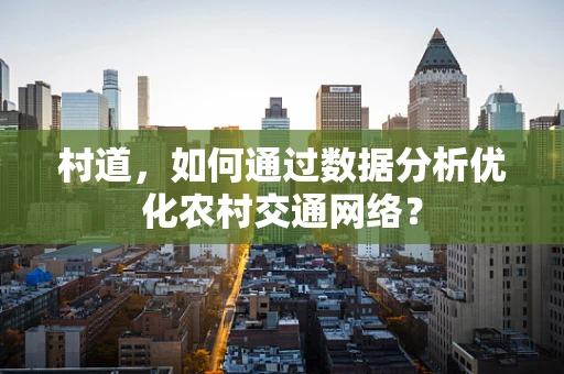 村道，如何通过数据分析优化农村交通网络？