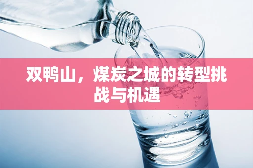 双鸭山，煤炭之城的转型挑战与机遇