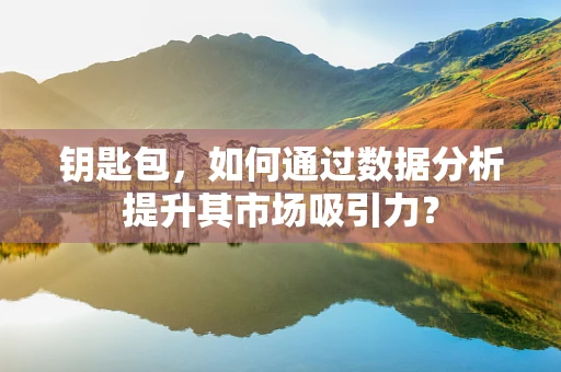 钥匙包，如何通过数据分析提升其市场吸引力？