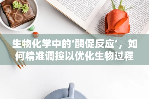 生物化学中的‘酶促反应’，如何精准调控以优化生物过程？