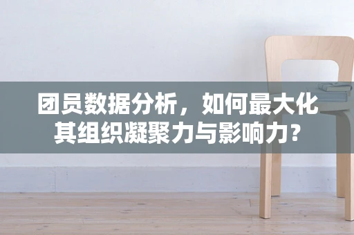 团员数据分析，如何最大化其组织凝聚力与影响力？