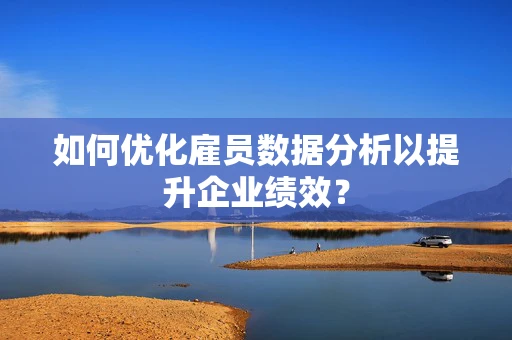 如何优化雇员数据分析以提升企业绩效？
