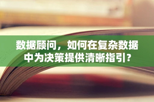 数据顾问，如何在复杂数据中为决策提供清晰指引？