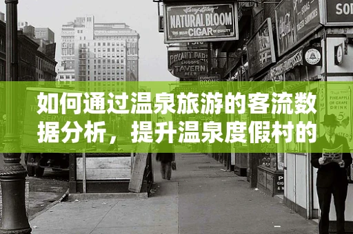 如何通过温泉旅游的客流数据分析，提升温泉度假村的运营效率？
