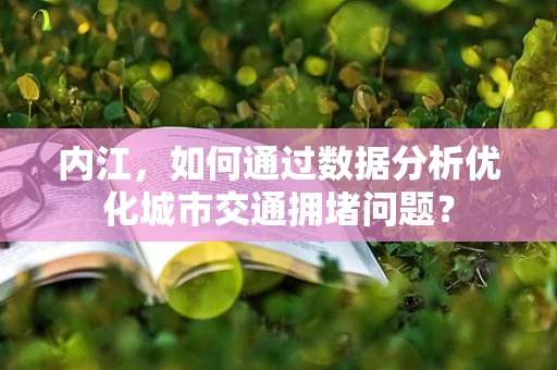 内江，如何通过数据分析优化城市交通拥堵问题？