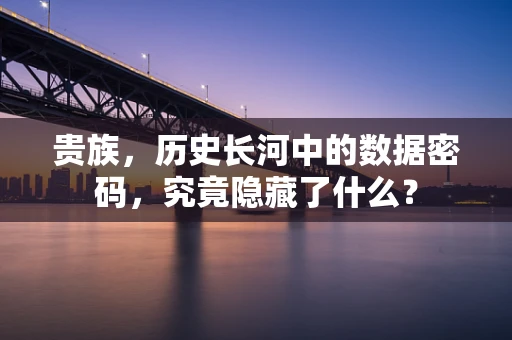 贵族，历史长河中的数据密码，究竟隐藏了什么？