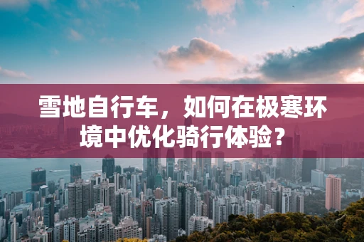 雪地自行车，如何在极寒环境中优化骑行体验？