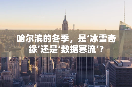 哈尔滨的冬季，是‘冰雪奇缘’还是‘数据寒流’？