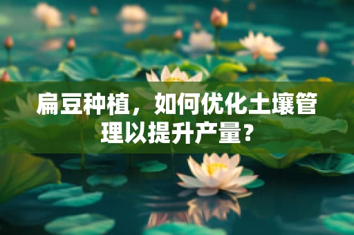 扁豆种植，如何优化土壤管理以提升产量？
