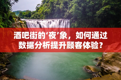 酒吧街的‘夜’象，如何通过数据分析提升顾客体验？