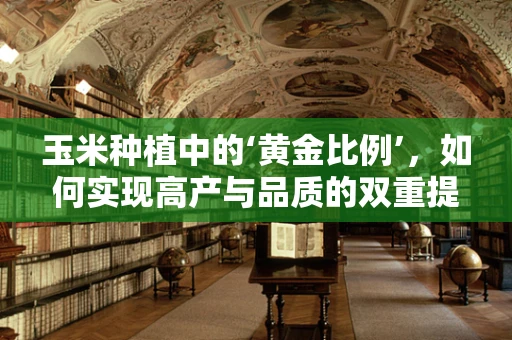 玉米种植中的‘黄金比例’，如何实现高产与品质的双重提升？