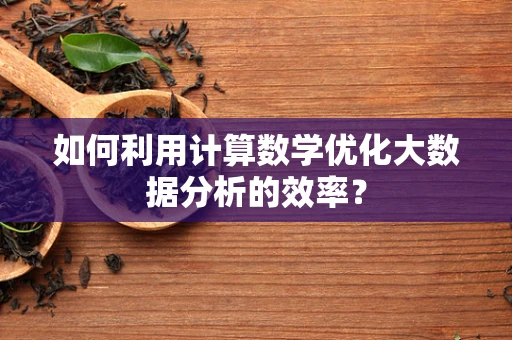 如何利用计算数学优化大数据分析的效率？