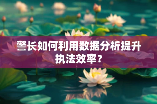 警长如何利用数据分析提升执法效率？