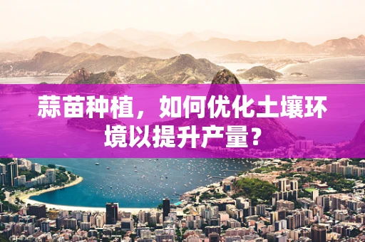 蒜苗种植，如何优化土壤环境以提升产量？