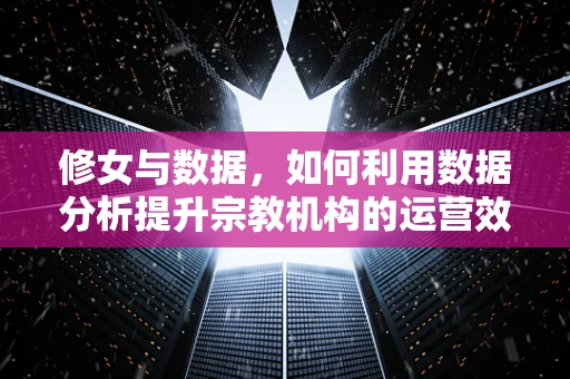 修女与数据，如何利用数据分析提升宗教机构的运营效率？