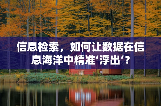 信息检索，如何让数据在信息海洋中精准‘浮出’？