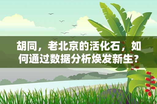 胡同，老北京的活化石，如何通过数据分析焕发新生？
