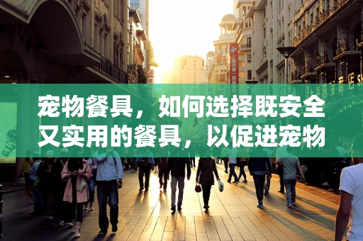 宠物餐具，如何选择既安全又实用的餐具，以促进宠物健康？