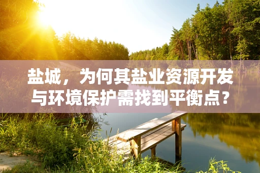 盐城，为何其盐业资源开发与环境保护需找到平衡点？