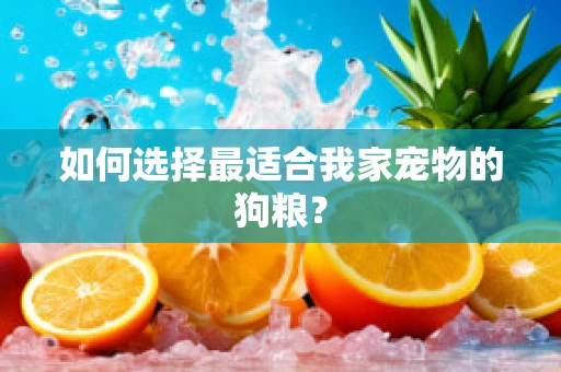 如何选择最适合我家宠物的狗粮？