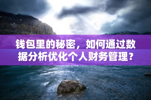 钱包里的秘密，如何通过数据分析优化个人财务管理？