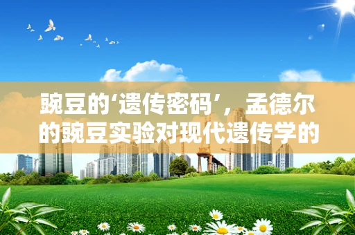 豌豆的‘遗传密码’，孟德尔的豌豆实验对现代遗传学的影响