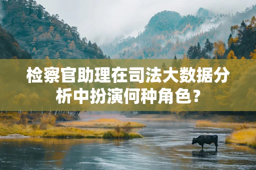 检察官助理在司法大数据分析中扮演何种角色？