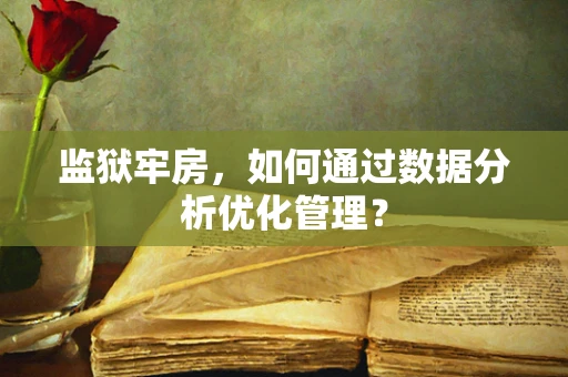 监狱牢房，如何通过数据分析优化管理？