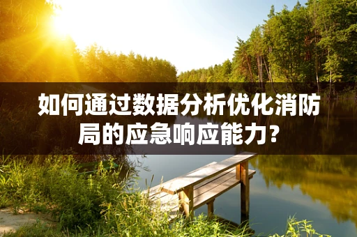 如何通过数据分析优化消防局的应急响应能力？