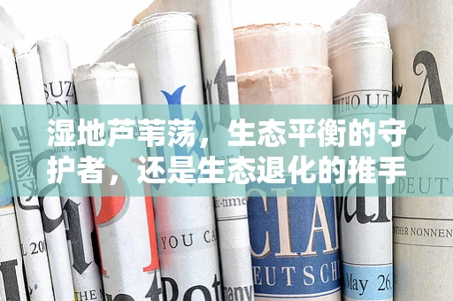 湿地芦苇荡，生态平衡的守护者，还是生态退化的推手？