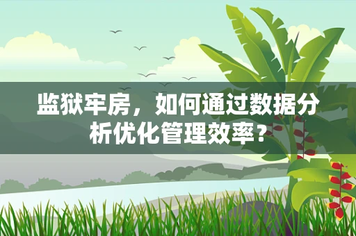 监狱牢房，如何通过数据分析优化管理效率？
