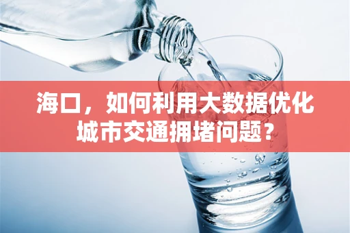 海口，如何利用大数据优化城市交通拥堵问题？
