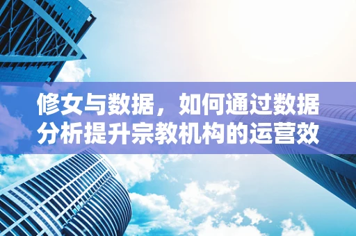 修女与数据，如何通过数据分析提升宗教机构的运营效率？