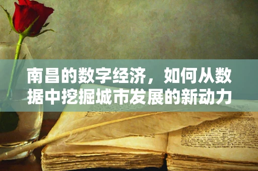 南昌的数字经济，如何从数据中挖掘城市发展的新动力？