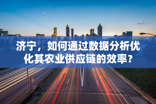 济宁，如何通过数据分析优化其农业供应链的效率？