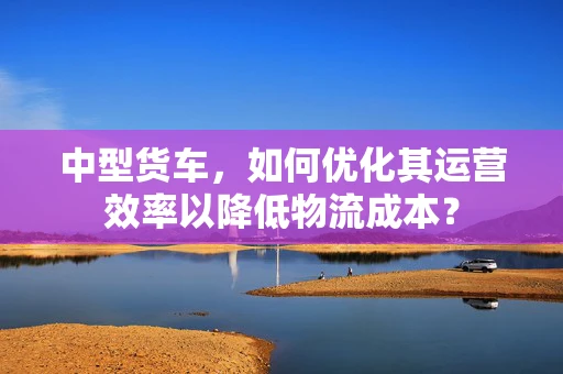 中型货车，如何优化其运营效率以降低物流成本？