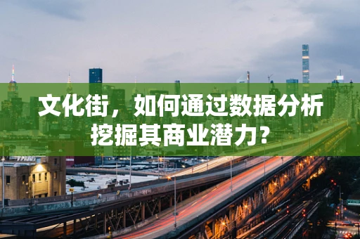 文化街，如何通过数据分析挖掘其商业潜力？
