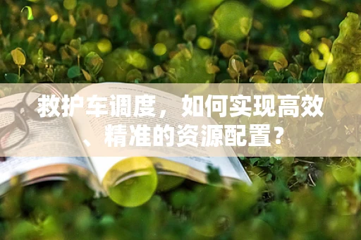 救护车调度，如何实现高效、精准的资源配置？