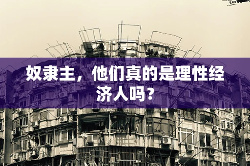 奴隶主，他们真的是理性经济人吗？