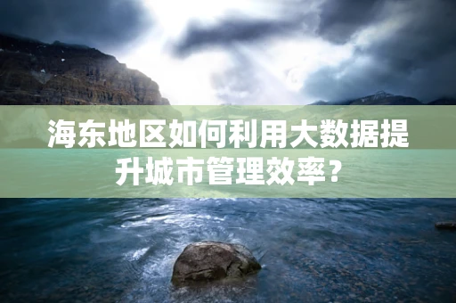 海东地区如何利用大数据提升城市管理效率？