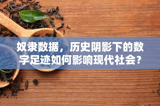 奴隶数据，历史阴影下的数字足迹如何影响现代社会？