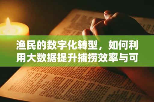 渔民的数字化转型，如何利用大数据提升捕捞效率与可持续性？