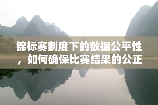 锦标赛制度下的数据公平性，如何确保比赛结果的公正？